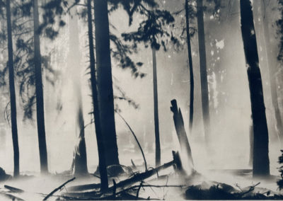 Lightburn (cyanotype)