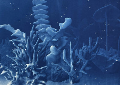 Deep Blue Echoes (cyanotype)